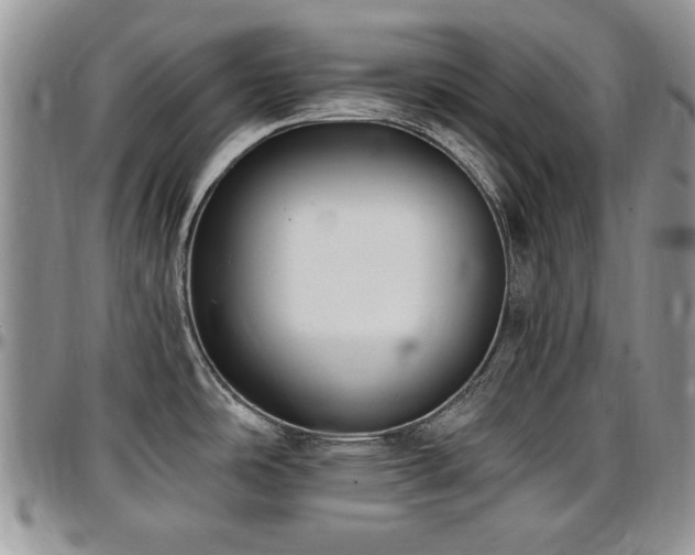 X0000097291486200802151403