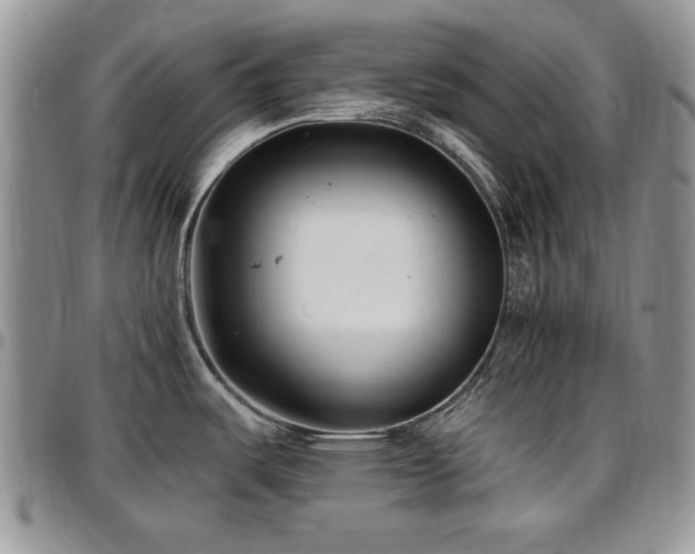 X0000097291487200802151403