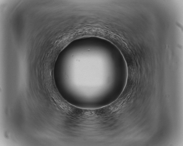 X0000097291489200802151402