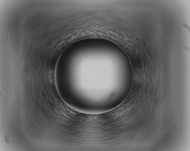 X0000097291490200802151402