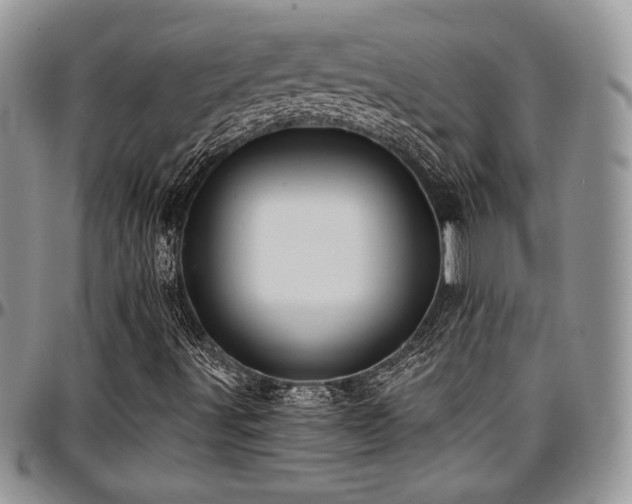 X0000097291491200802151402
