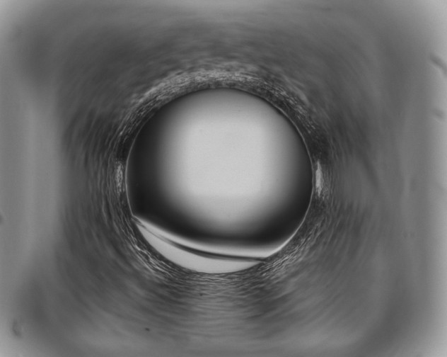 X0000097291492200802151402