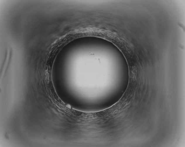 X0000097291493200802151402