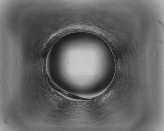 X0000097291494200802151402