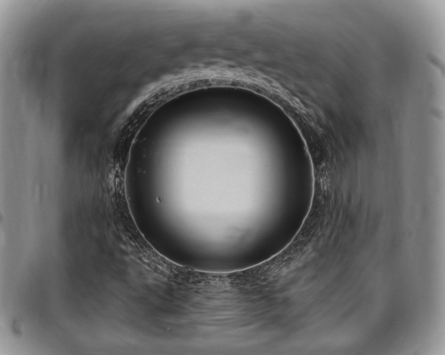 X0000097291495200802151402