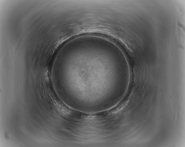 X0000097291497200802151402