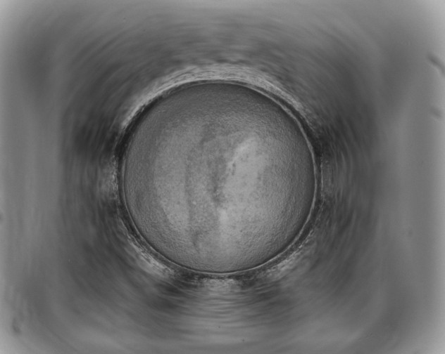 X0000097291498200802151402