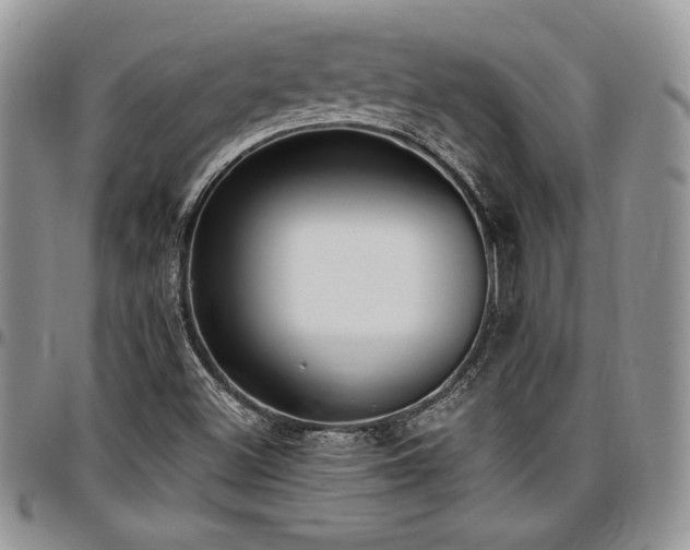 X0000097291500200802151402