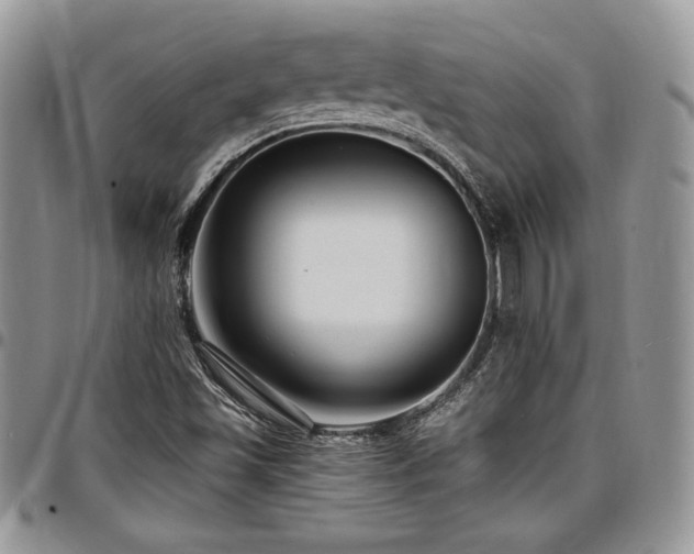 X0000097291501200802151402