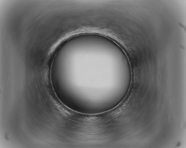 X0000097291502200802151402
