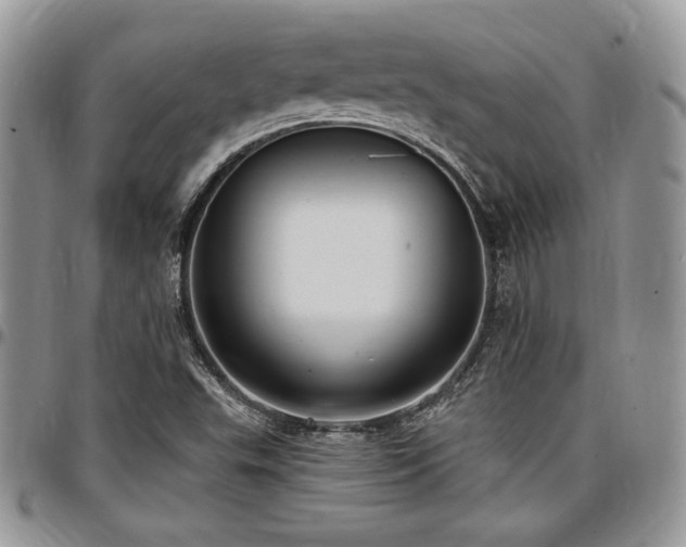 X0000097291503200802151402