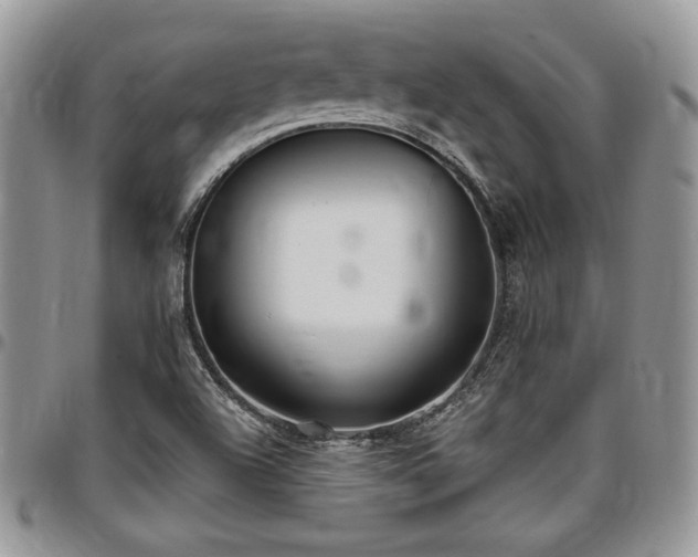 X0000097291504200802151402