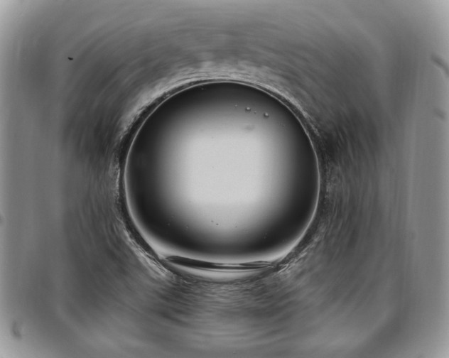 X0000097291507200802151402