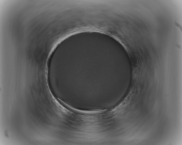 X0000097291508200802151402