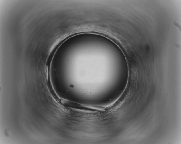 X0000097291509200802151402