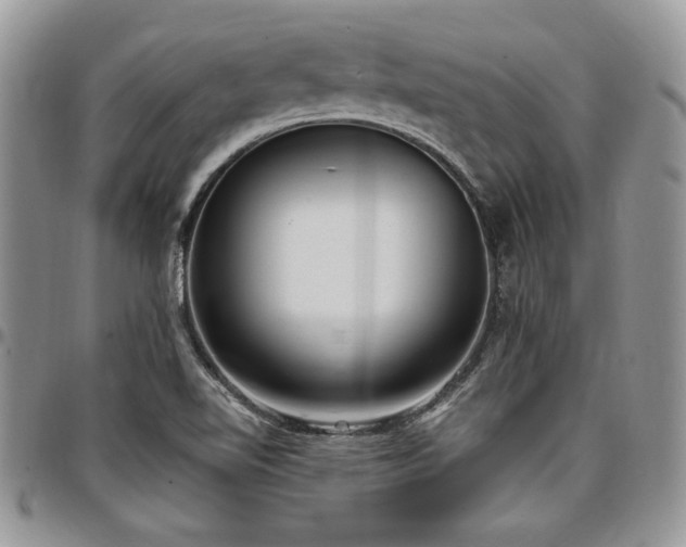 X0000097291510200802151402