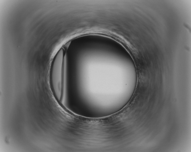 X0000097291512200802151402