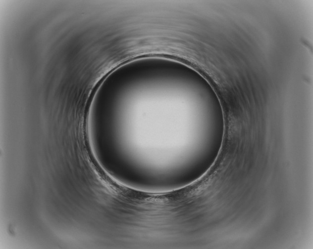 X0000097291513200802151402