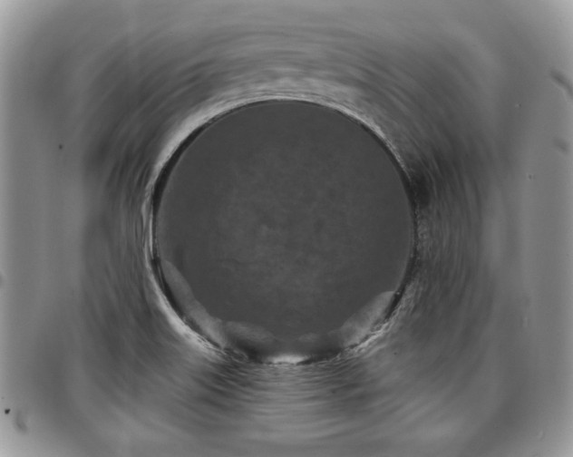 X0000097291515200802151402