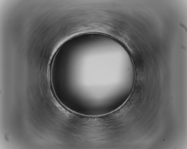 X0000097291516200802151402