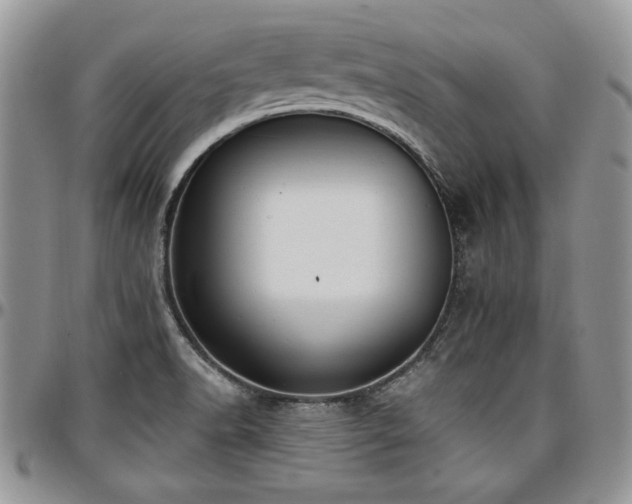 X0000097291518200802151402
