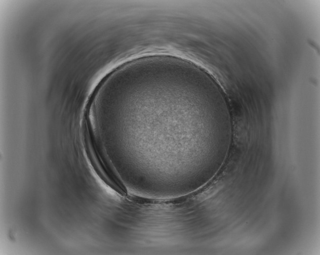 X0000097291519200802151402