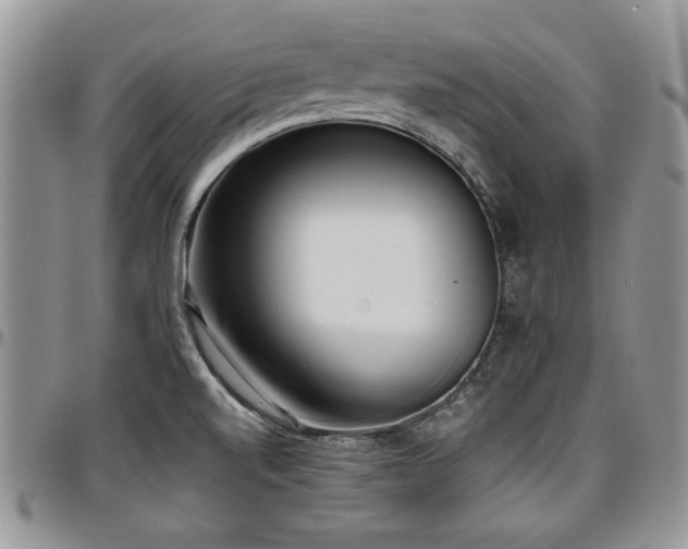 X0000097291520200802151402