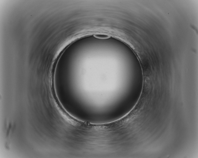 X0000097291523200802151402