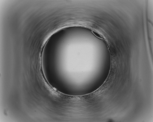 X0000097291524200802151402