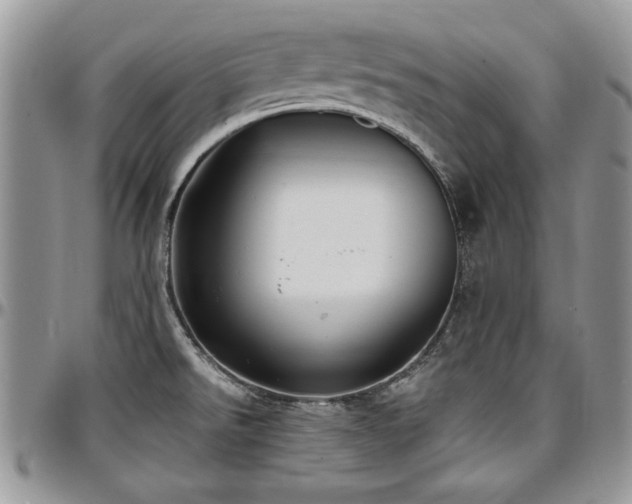 X0000097291526200802151403