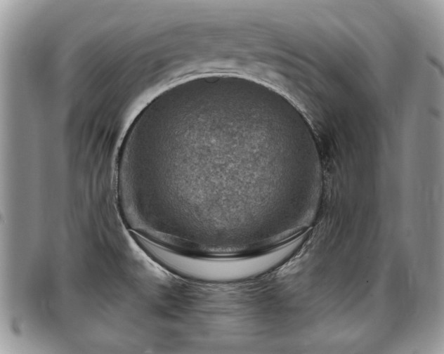 X0000097291527200802151403