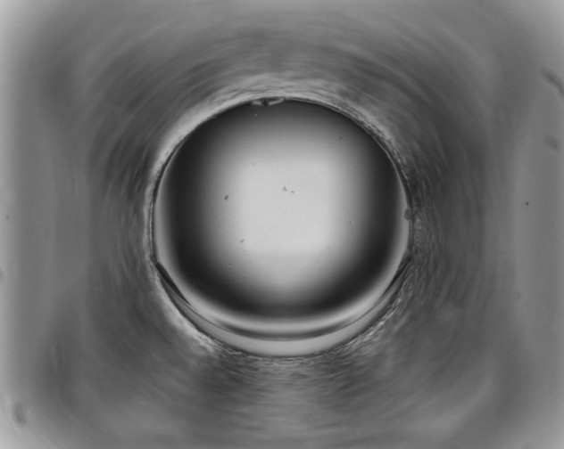 X0000097291528200802151403