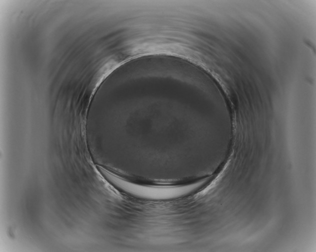 X0000097291529200802151403