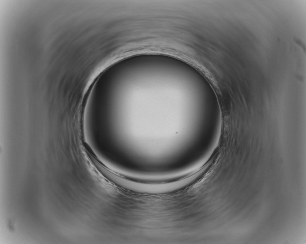 X0000097291530200802151403