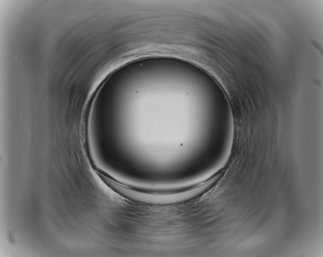 X0000097291531200802151403