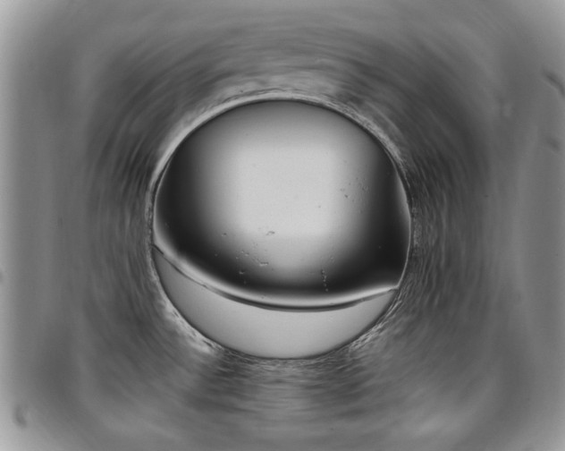 X0000097291532200802151403
