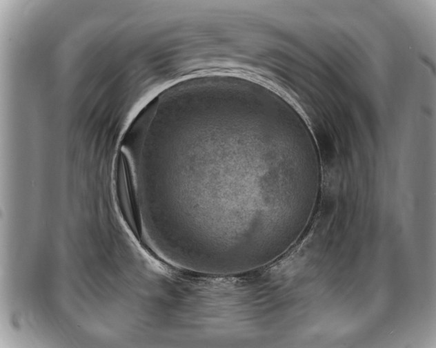X0000097291533200802151403