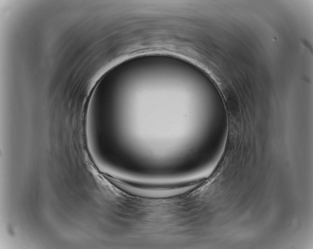 X0000097291534200802151403