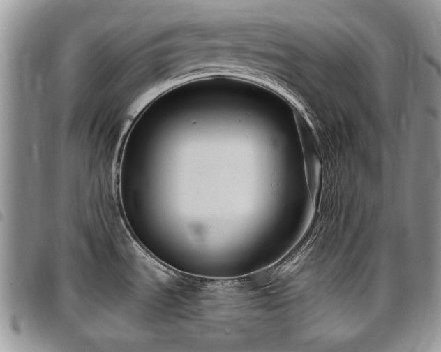 X0000097291535200802151403