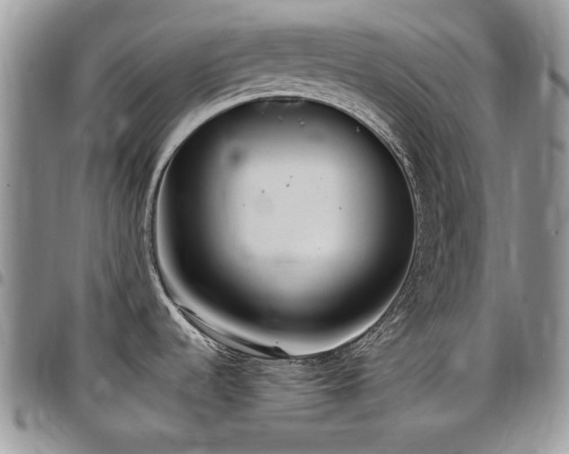 X0000097291536200802151403