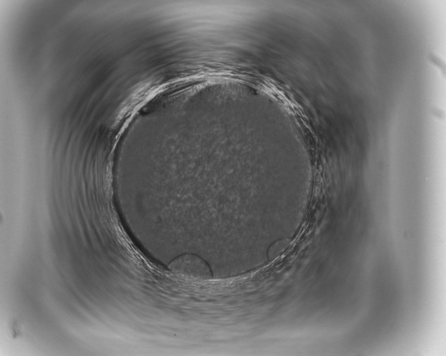 X0000097290002200802221322
