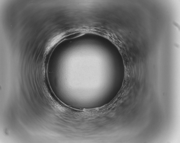 X0000097290005200802221322