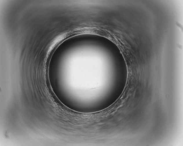 X0000097290006200802221322