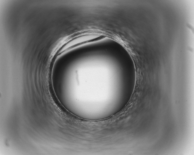 X0000097290007200802221322