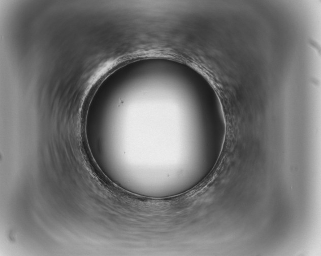 X0000097290008200802221322