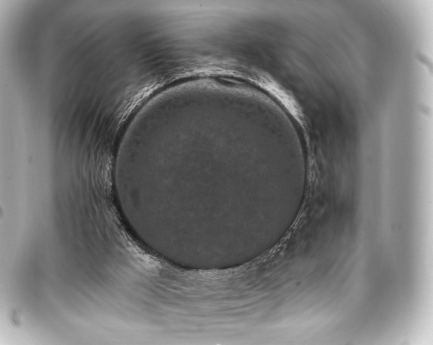 X0000097290009200802221322
