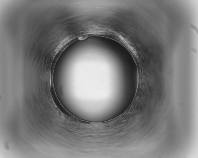 X0000097290011200802221322