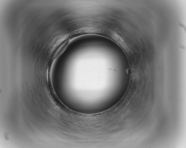 X0000097290014200802221322