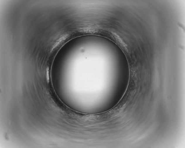 X0000097290020200802221322