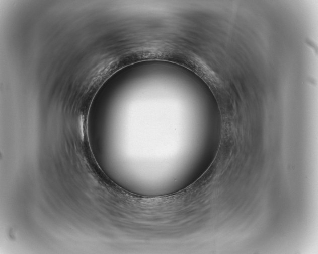 X0000097290022200802221322